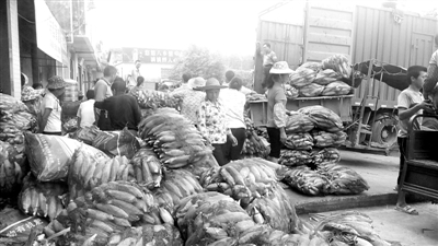 亩产万斤_吉林玉米亩产收入(2)