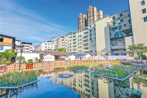 蕉岭县蕉城镇黄田村污水塘经过治理变成景观池.(首席记者连志城 摄)