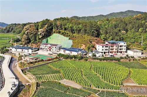 八尺镇黄沙村366电商产业园.(钟小丰 摄)