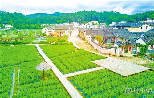 大埔县西河镇北塘村秀美田园风光.